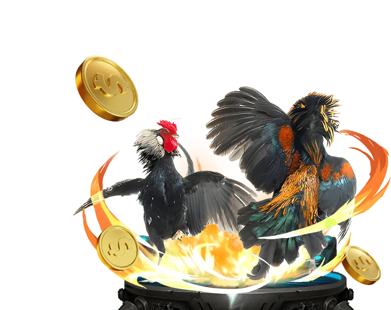 Đá gà bk8 trang chủ